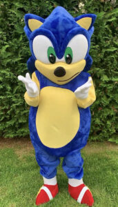 Hire Sonic Near Charlotte for a Birthday Party